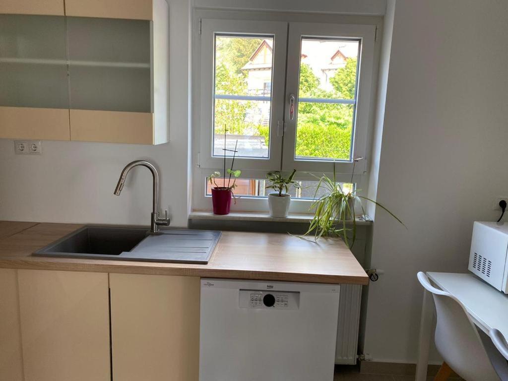 Ferienwohnung Diana Und Manuel Weinheim Esterno foto